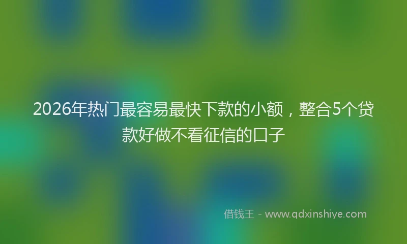 2026年热门最容易最快下款的小额，整合5个贷款好做不看征信的口子