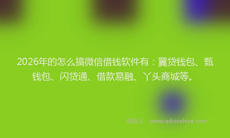 2026年的怎么搞微信借钱软件有：翼贷钱包、甄钱包、闪贷通、借款易融、丫头商城等。