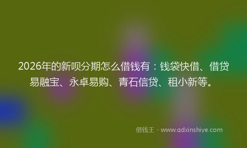 2026年的新呗分期怎么借钱有：钱袋快借、借贷易融宝、永卓易购、青石信贷、租小新等。