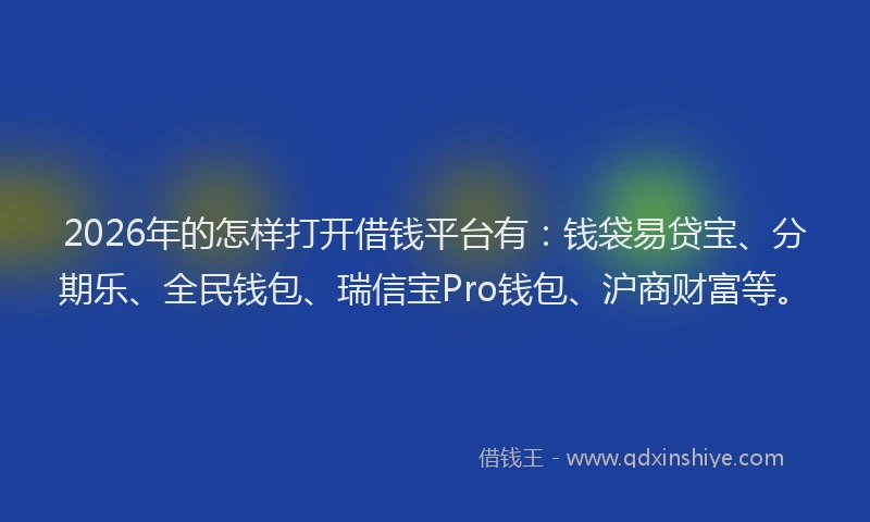 2026年的怎样打开借钱平台有：钱袋易贷宝、分期乐、全民钱包、瑞信宝Pro钱包、沪商财富等。