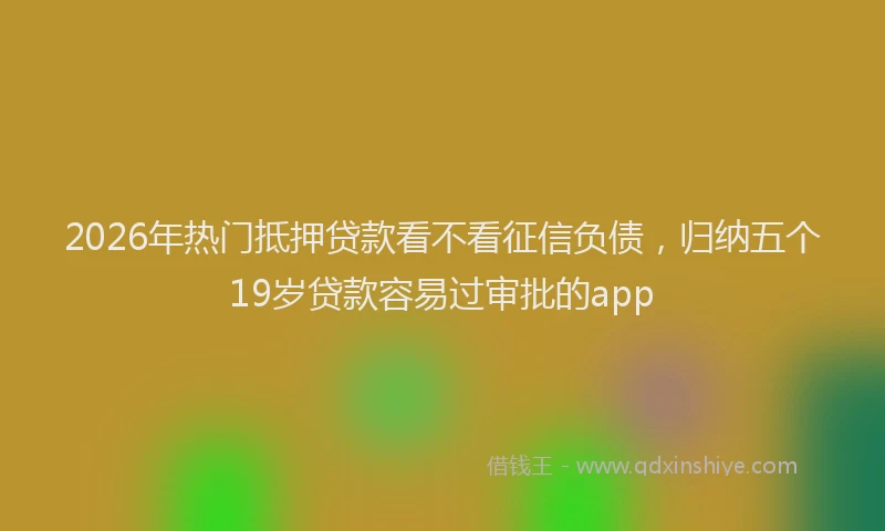 2026年热门抵押贷款看不看征信负债，归纳五个19岁贷款容易过审批的app