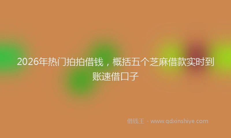 2026年热门拍拍借钱,概括五个芝麻借款实时到账速借口子