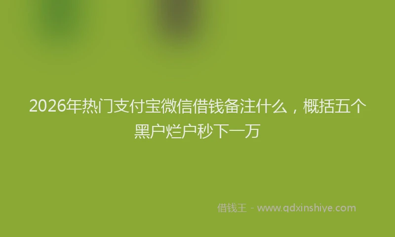 2026年热门支付宝微信借钱备注什么，概括五个黑户烂户秒下一万