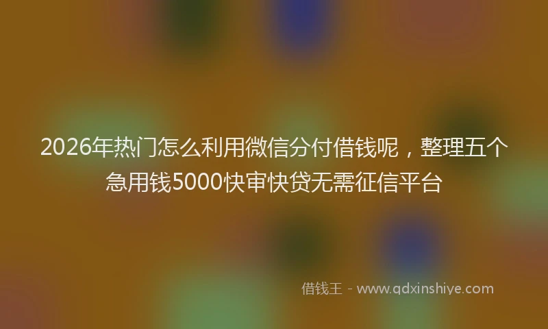 2026年热门怎么利用微信分付借钱呢,整理五个急用钱5000快审快贷无需征信平台