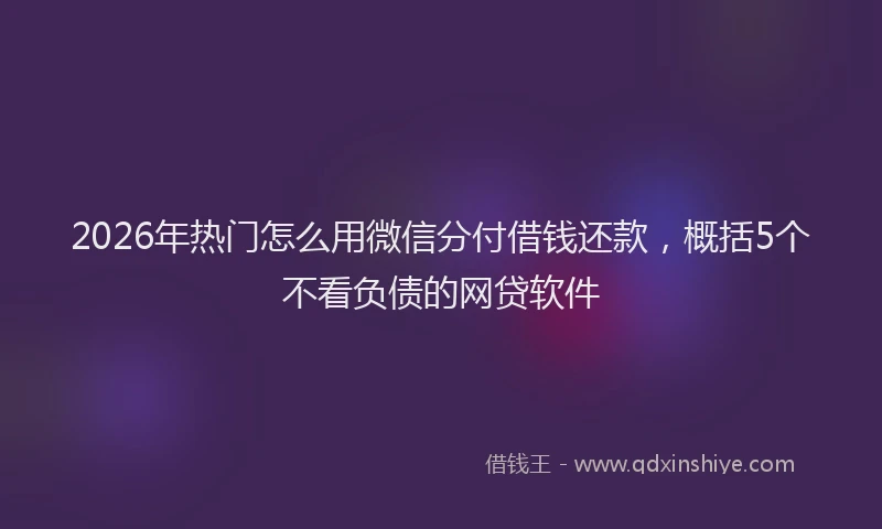 2026年热门怎么用微信分付借钱还款，概括5个不看负债的网贷软件