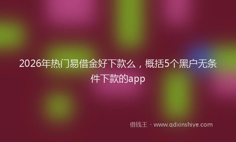 2026年热门易借金好下款么，概括5个黑户无条件下款的app