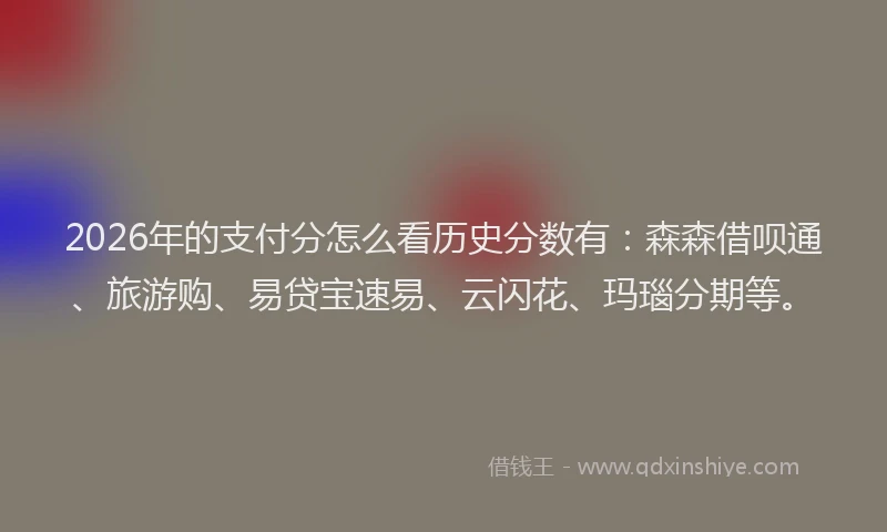 2026年的支付分怎么看历史分数有：森森借呗通、旅游购、易贷宝速易、云闪花、玛瑙分期等。