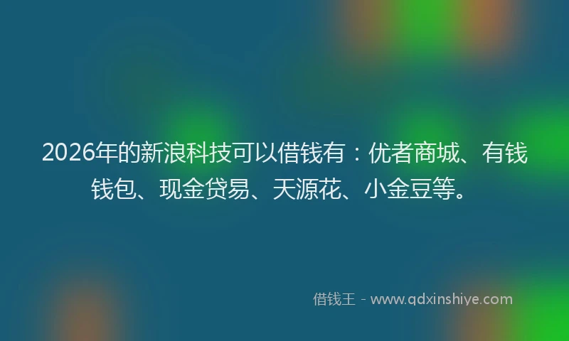 2026年的新浪科技可以借钱有：优者商城、有钱钱包、现金贷易、天源花、小金豆等。