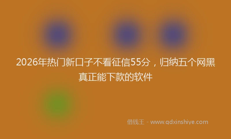 2026年热门新口子不看征信55分，归纳五个网黑真正能下款的软件