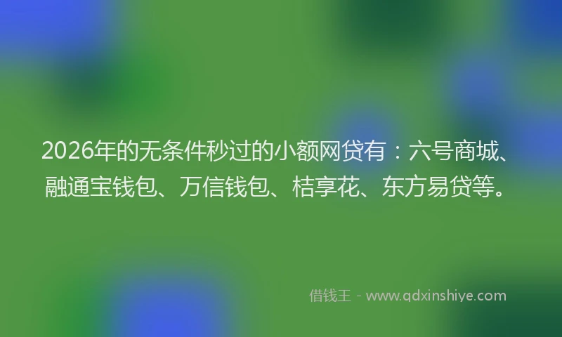 2026年的无条件秒过的小额网贷有:六号商城、融通宝钱包、万信钱包、桔享花、东方易贷等。