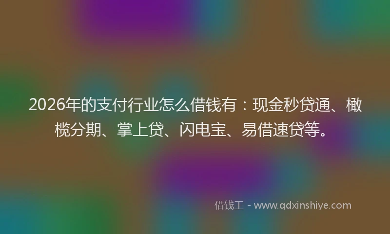 2026年的支付行业怎么借钱有：现金秒贷通、橄榄分期、掌上贷、闪电宝、易借速贷等。