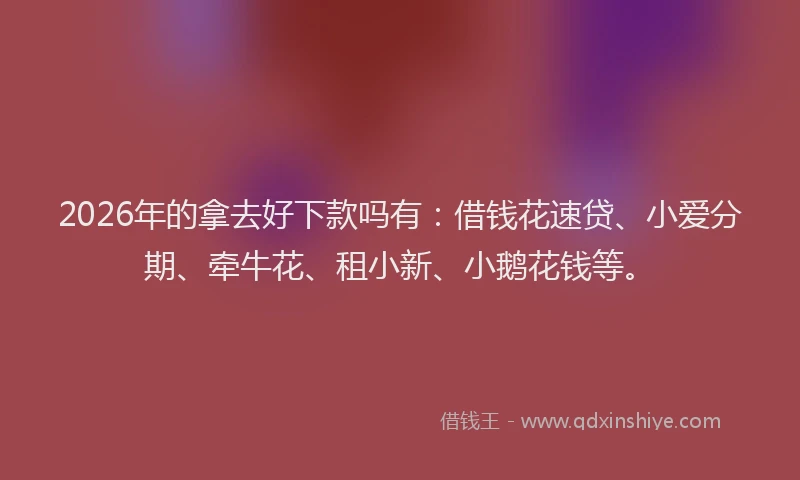 2026年的拿去好下款吗有：借钱花速贷、小爱分期、牵牛花、租小新、小鹅花钱等。