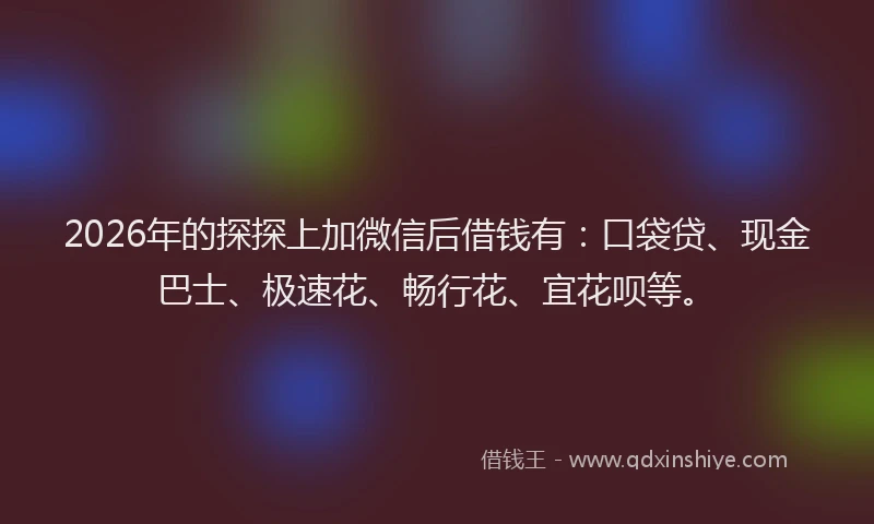 2026年的探探上加微信后借钱有：口袋贷、现金巴士、极速花、畅行花、宜花呗等。