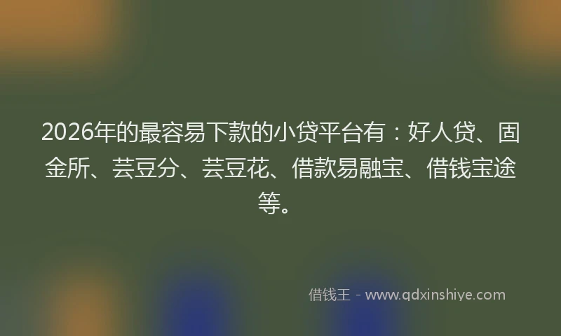 2026年的最容易下款的小贷平台有：好人贷、固金所、芸豆分、芸豆花、借款易融宝、借钱宝途等。