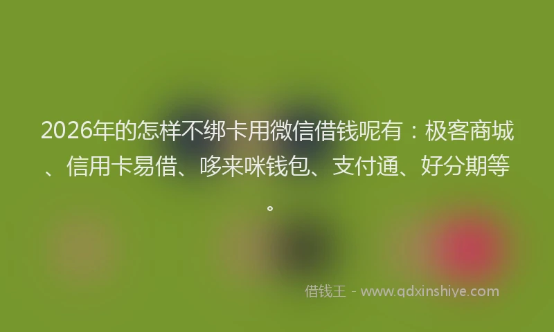 2026年的怎样不绑卡用微信借钱呢有：极客商城、信用卡易借、哆来咪钱包、支付通、好分期等。