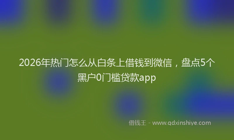 2026年热门怎么从白条上借钱到微信，盘点5个黑户0门槛贷款app