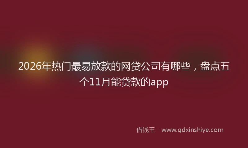 2026年热门最易放款的网贷公司有哪些,盘点五个11月能贷款的app