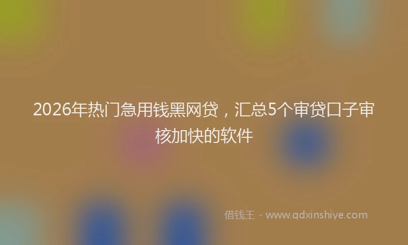2026年热门急用钱黑网贷，汇总5个审贷口子审核加快的软件