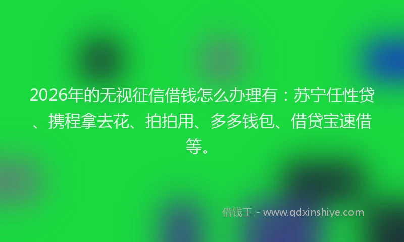 2026年的无视征信借钱怎么办理有:苏宁任性贷、携程拿去花、拍拍用、多多钱包、借贷宝速借等。
