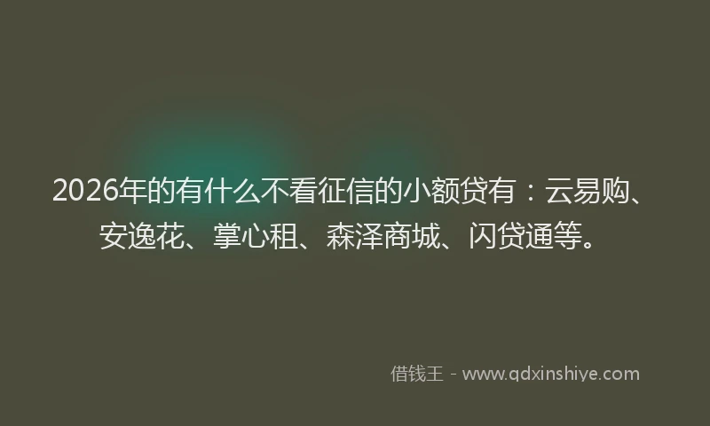 2026年的有什么不看征信的小额贷有：云易购、安逸花、掌心租、森泽商城、闪贷通等。
