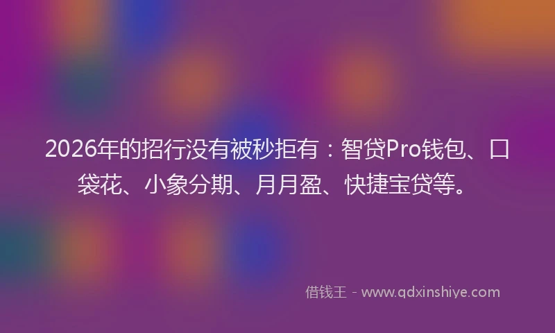 2026年的招行没有被秒拒有：智贷Pro钱包、口袋花、小象分期、月月盈、快捷宝贷等。