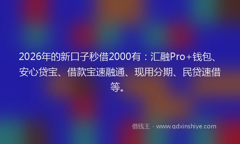 2026年的新口子秒借2000有：汇融Pro+钱包、安心贷宝、借款宝速融通、现用分期、民贷速借等。