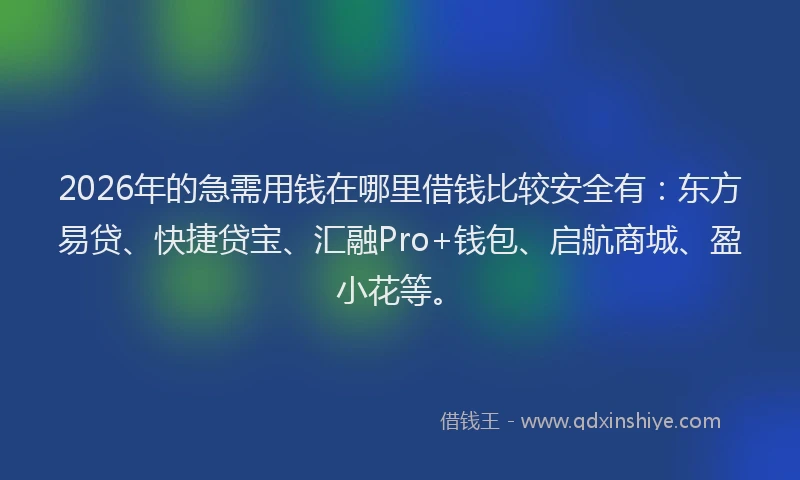 2026年的急需用钱在哪里借钱比较安全有:东方易贷、快捷贷宝、汇融Pro+钱包、启航商城、盈小花等。