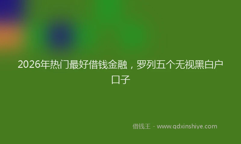 2026年热门最好借钱金融，罗列五个无视黑白户口子