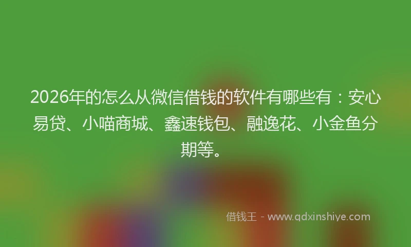 2026年的怎么从微信借钱的软件有哪些有：安心易贷、小喵商城、鑫速钱包、融逸花、小金鱼分期等。
