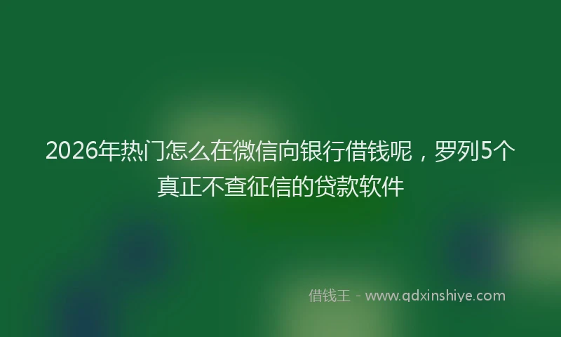 2026年热门怎么在微信向银行借钱呢，罗列5个真正不查征信的贷款软件