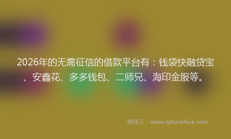 2026年的无需征信的借款平台有：钱袋快融贷宝、安鑫花、多多钱包、二师兄、海印金服等。