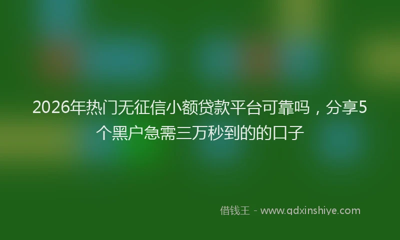 2026年热门无征信小额贷款平台可靠吗，分享5个黑户急需三万秒到的的口子
