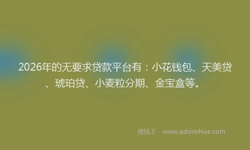 2026年的无要求贷款平台有：小花钱包、天美贷、琥珀贷、小麦粒分期、金宝盒等。