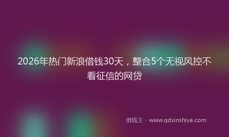 2026年热门新浪借钱30天,整合5个无视风控不看征信的网贷