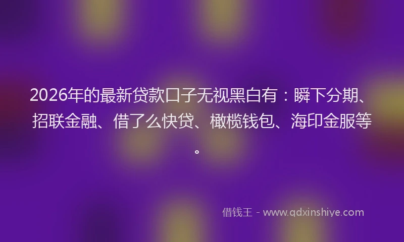 2026年的最新贷款口子无视黑白有：瞬下分期、招联金融、借了么快贷、橄榄钱包、海印金服等。