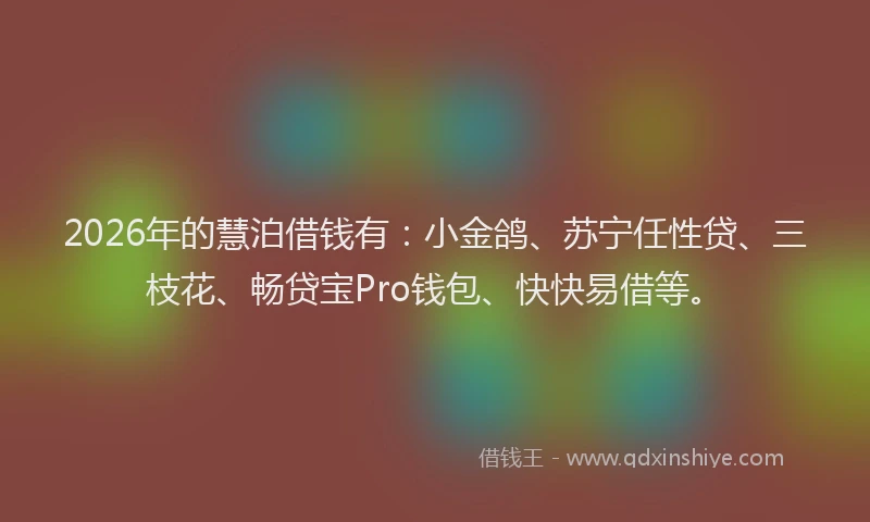 2026年的慧泊借钱有：小金鸽、苏宁任性贷、三枝花、畅贷宝Pro钱包、快快易借等。