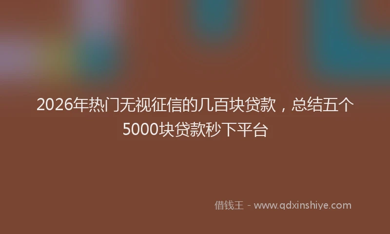 2026年热门无视征信的几百块贷款，总结五个5000块贷款秒下平台