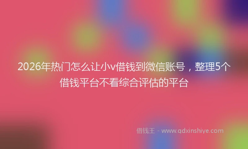 2026年热门怎么让小v借钱到微信账号，整理5个借钱平台不看综合评估的平台