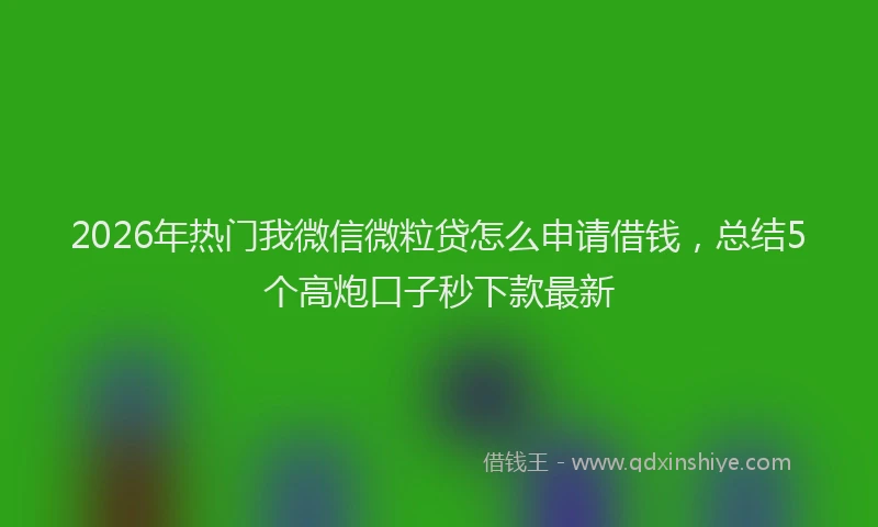 2026年热门我微信微粒贷怎么申请借钱，总结5个高炮口子秒下款最新
