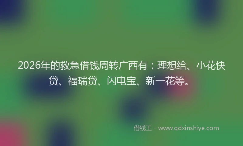 2026年的救急借钱周转广西有：理想给、小花快贷、福瑞贷、闪电宝、新一花等。