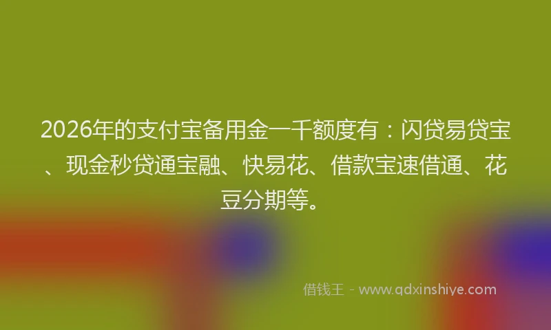 2026年的支付宝备用金一千额度有：闪贷易贷宝、现金秒贷通宝融、快易花、借款宝速借通、花豆分期等。