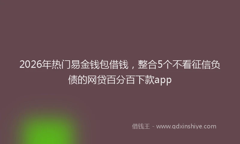 2026年热门易金钱包借钱，整合5个不看征信负债的网贷百分百下款app
