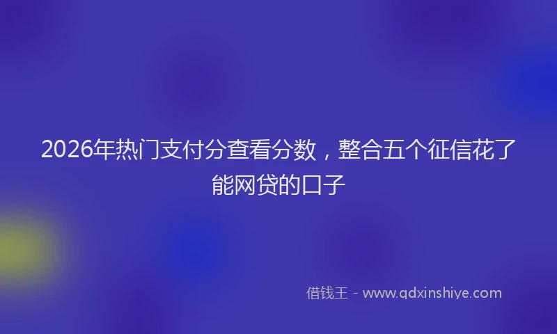 2026年热门支付分查看分数，整合五个征信花了能网贷的口子