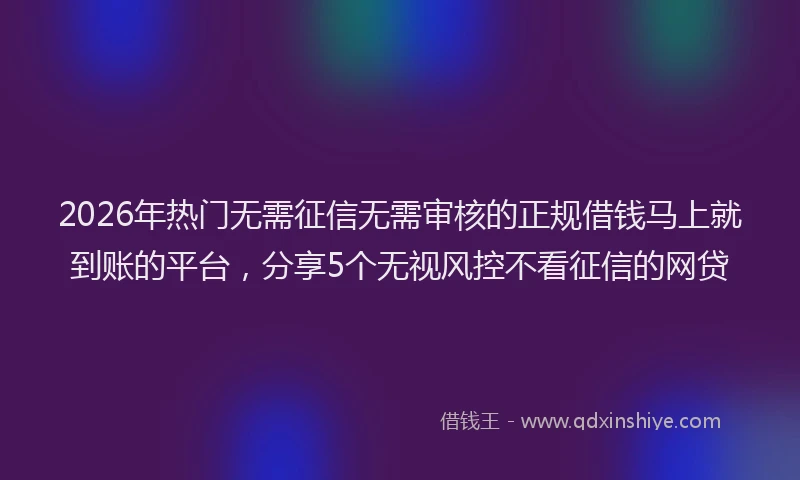 2026年热门无需征信无需审核的正规借钱马上就到账的平台，分享5个无视风控不看征信的网贷