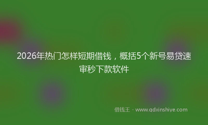 2026年热门怎样短期借钱,概括5个新号易贷速审秒下款软件
