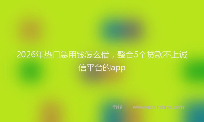 2026年热门急用钱怎么借，整合5个贷款不上诚信平台的app