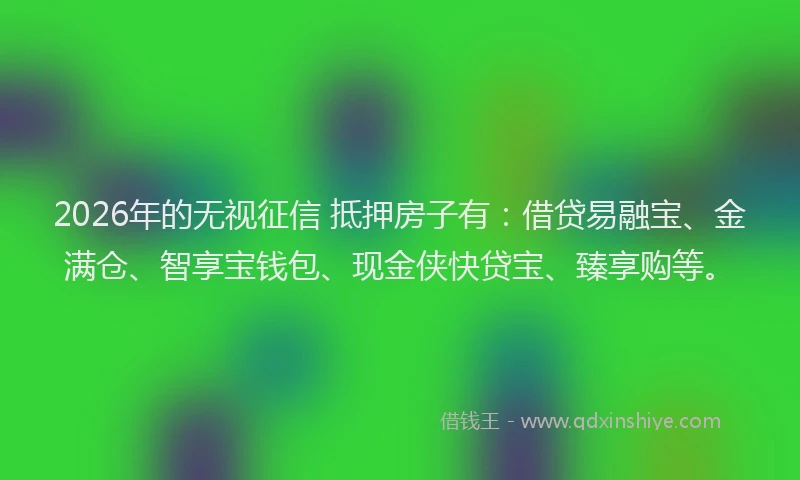 2026年的无视征信 抵押房子有：借贷易融宝、金满仓、智享宝钱包、现金侠快贷宝、臻享购等。