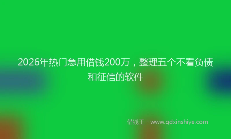 2026年热门急用借钱200万，整理五个不看负债和征信的软件