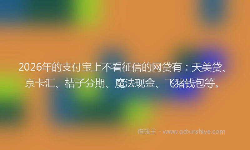 2026年的支付宝上不看征信的网贷有：天美贷、京卡汇、桔子分期、魔法现金、飞猪钱包等。