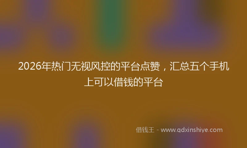 2026年热门无视风控的平台点赞，汇总五个手机上可以借钱的平台